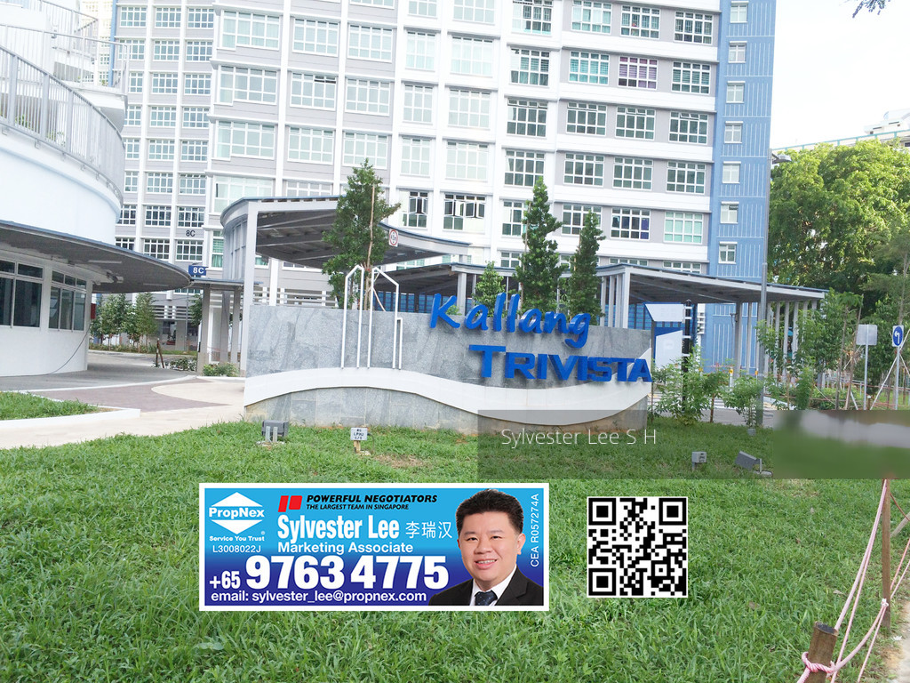Blk 8B Upper Boon Keng Road (Kallang/Whampoa), HDB 5 Rooms #146793902